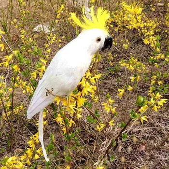 белая модель попугая в реальной жизни, подарок из пены и перьев, птица Какаду, около 42 см d0248